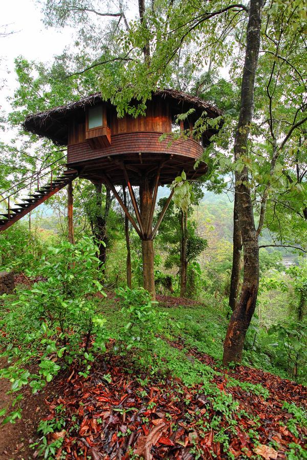 Resort Rainforest 3*